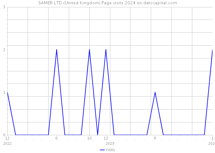 SAMER LTD (United Kingdom) Page visits 2024 
