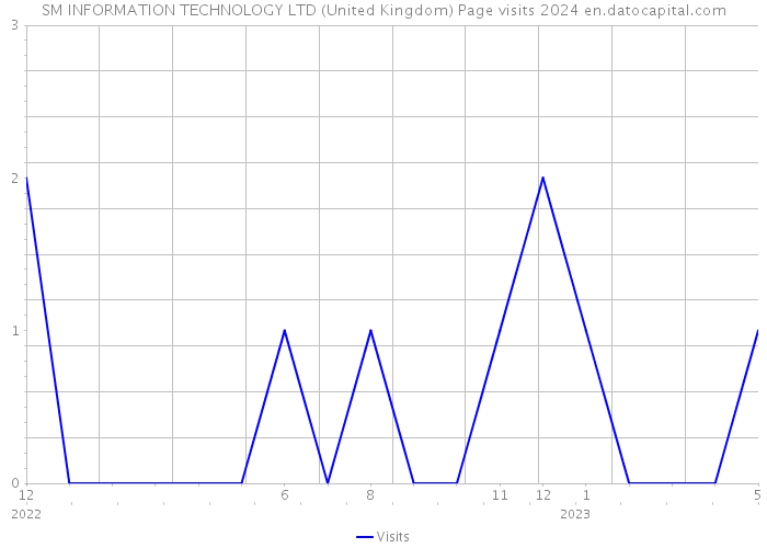 SM INFORMATION TECHNOLOGY LTD (United Kingdom) Page visits 2024 