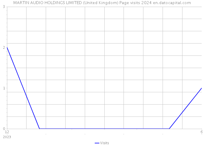 MARTIN AUDIO HOLDINGS LIMITED (United Kingdom) Page visits 2024 