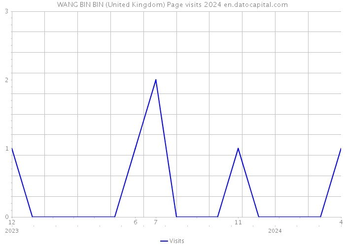 WANG BIN BIN (United Kingdom) Page visits 2024 