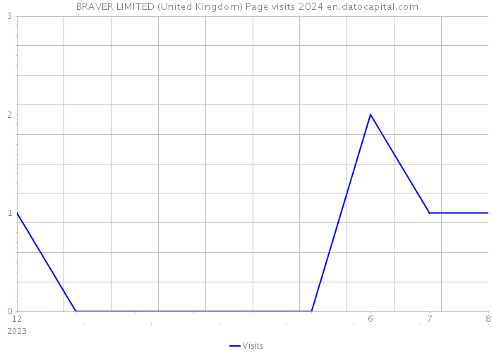 BRAVER LIMITED (United Kingdom) Page visits 2024 