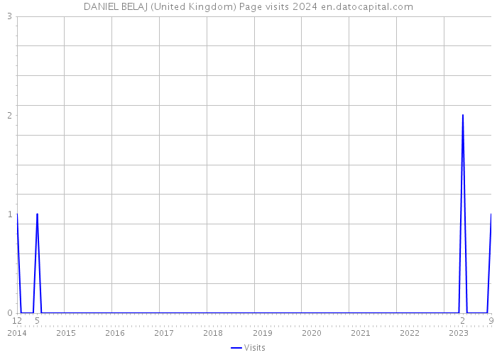 DANIEL BELAJ (United Kingdom) Page visits 2024 
