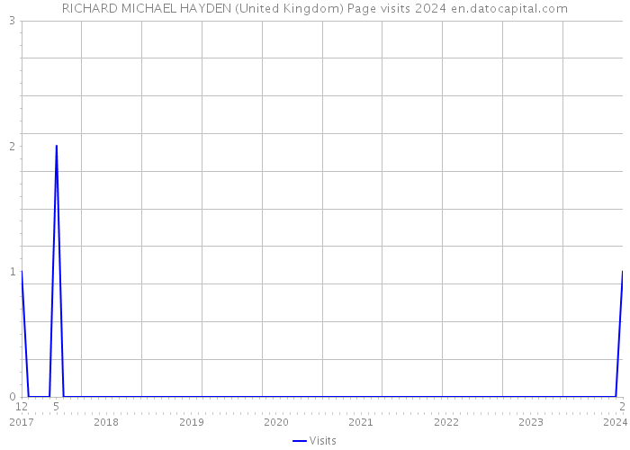 RICHARD MICHAEL HAYDEN (United Kingdom) Page visits 2024 