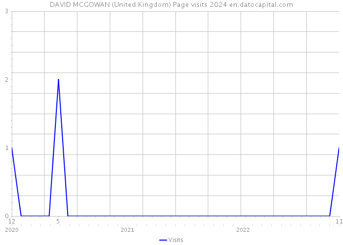DAVID MCGOWAN (United Kingdom) Page visits 2024 