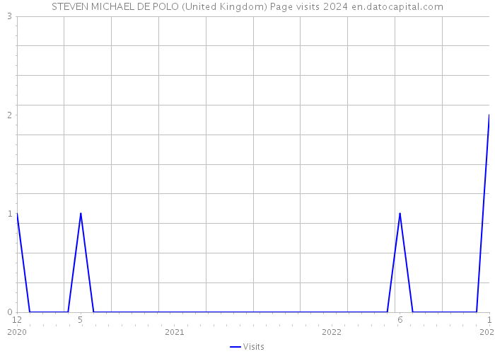 STEVEN MICHAEL DE POLO (United Kingdom) Page visits 2024 
