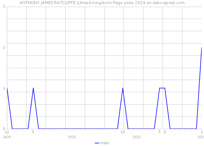 ANTHONY JAMES RATCLIFFE (United Kingdom) Page visits 2024 