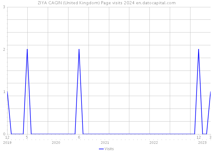 ZIYA CAGIN (United Kingdom) Page visits 2024 