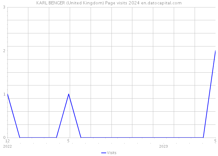 KARL BENGER (United Kingdom) Page visits 2024 