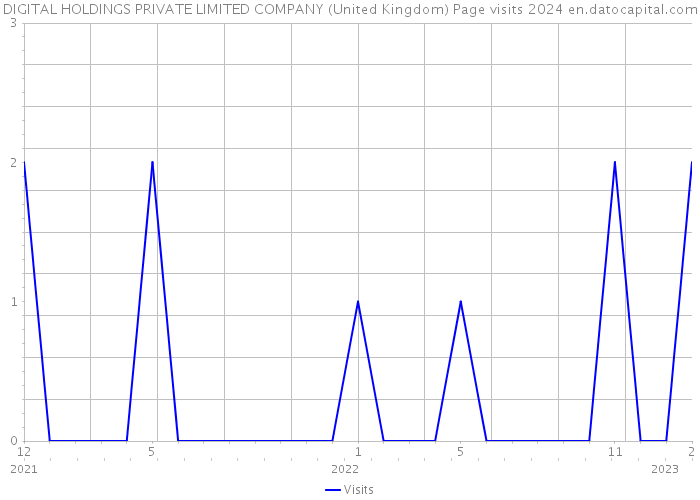 DIGITAL HOLDINGS PRIVATE LIMITED COMPANY (United Kingdom) Page visits 2024 