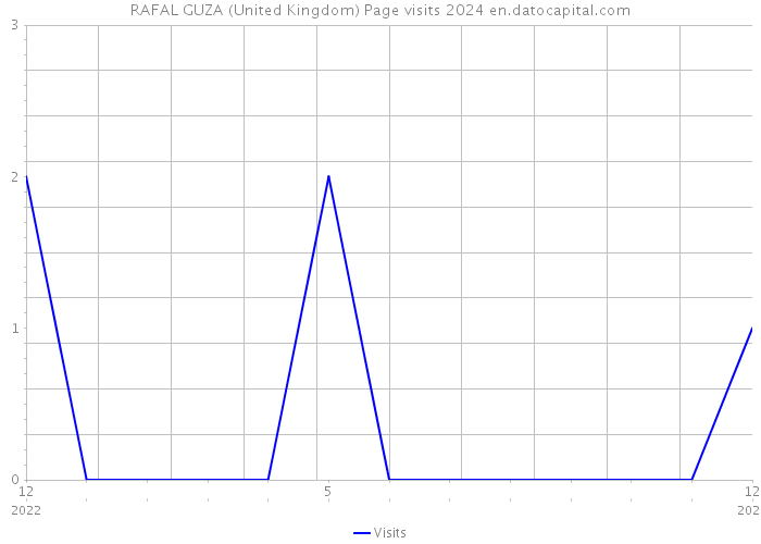 RAFAL GUZA (United Kingdom) Page visits 2024 