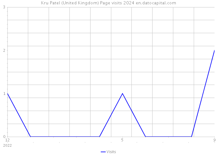 Kru Patel (United Kingdom) Page visits 2024 