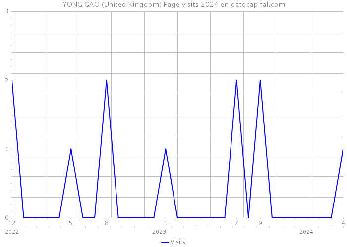 YONG GAO (United Kingdom) Page visits 2024 