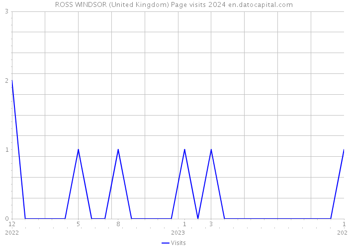 ROSS WINDSOR (United Kingdom) Page visits 2024 