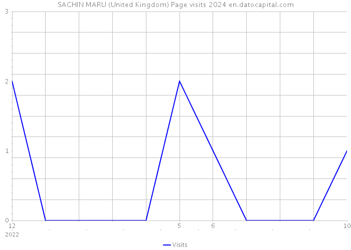 SACHIN MARU (United Kingdom) Page visits 2024 