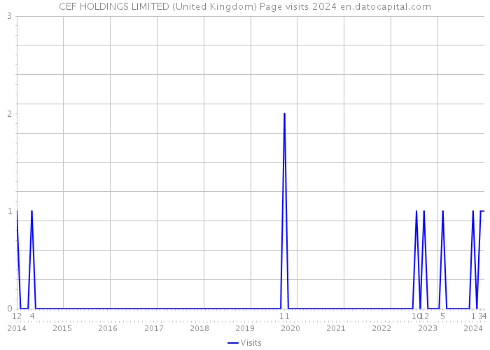 CEF HOLDINGS LIMITED (United Kingdom) Page visits 2024 