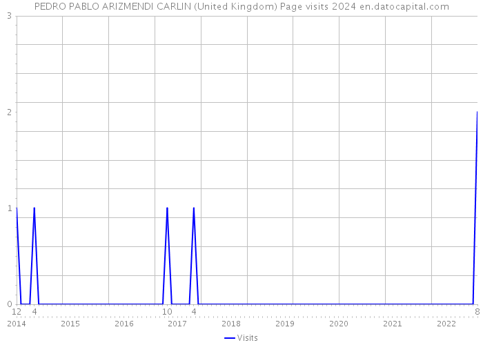 PEDRO PABLO ARIZMENDI CARLIN (United Kingdom) Page visits 2024 