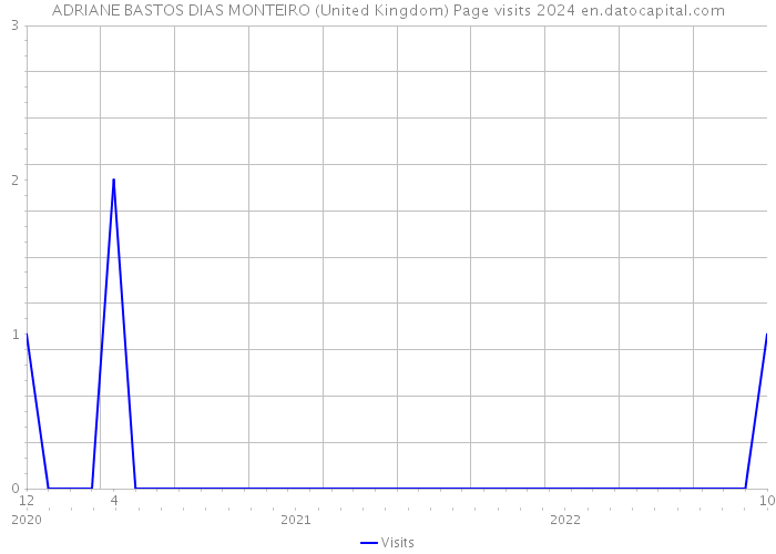 ADRIANE BASTOS DIAS MONTEIRO (United Kingdom) Page visits 2024 