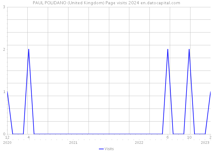 PAUL POLIDANO (United Kingdom) Page visits 2024 