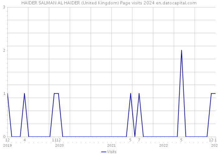 HAIDER SALMAN AL HAIDER (United Kingdom) Page visits 2024 