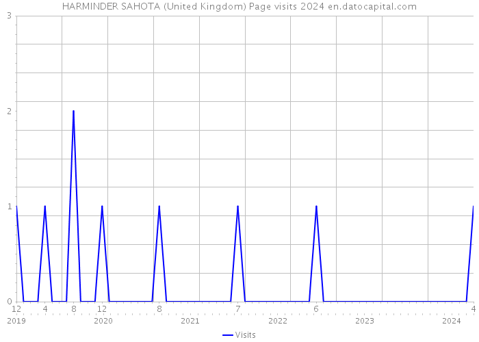 HARMINDER SAHOTA (United Kingdom) Page visits 2024 