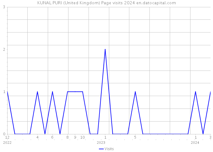 KUNAL PURI (United Kingdom) Page visits 2024 