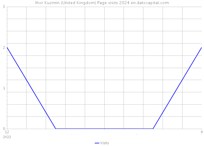 Ihor Kuzmin (United Kingdom) Page visits 2024 