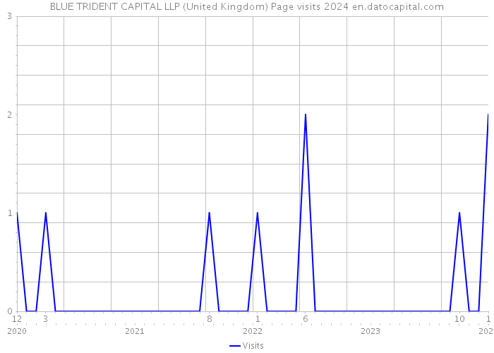 BLUE TRIDENT CAPITAL LLP (United Kingdom) Page visits 2024 