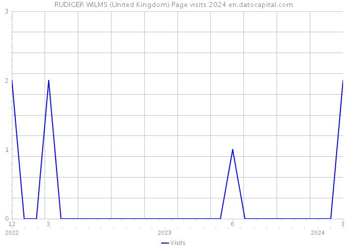 RUDIGER WILMS (United Kingdom) Page visits 2024 