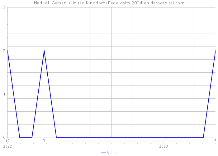 Hadi Al-Gersani (United Kingdom) Page visits 2024 