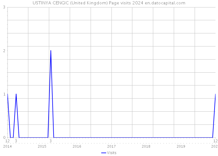 USTINYA CENGIC (United Kingdom) Page visits 2024 