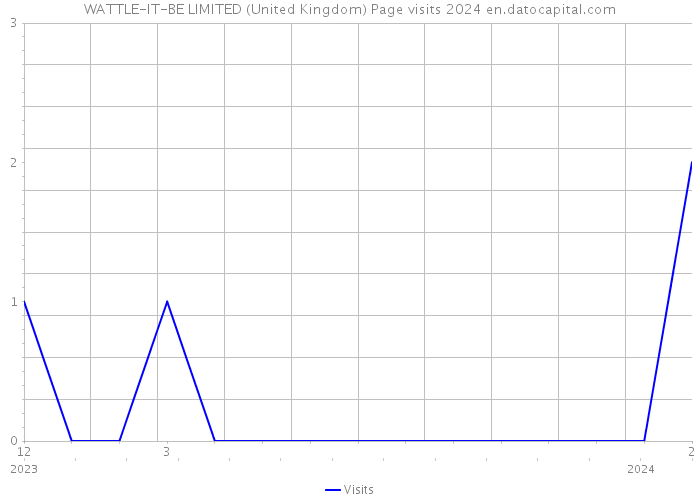 WATTLE-IT-BE LIMITED (United Kingdom) Page visits 2024 
