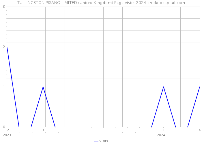 TULLINGSTON PISANO LIMITED (United Kingdom) Page visits 2024 