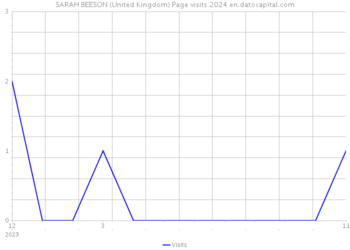 SARAH BEESON (United Kingdom) Page visits 2024 