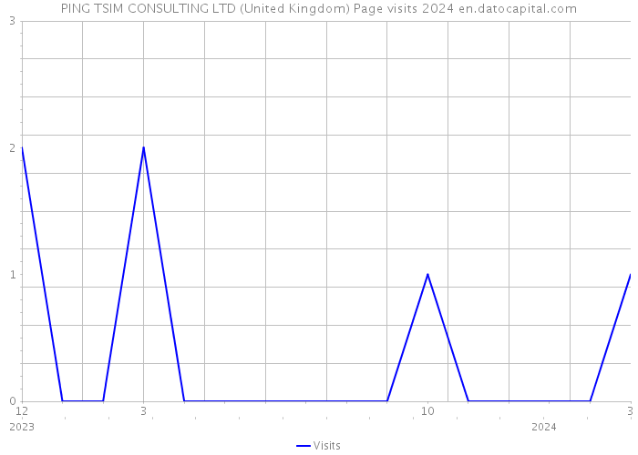 PING TSIM CONSULTING LTD (United Kingdom) Page visits 2024 