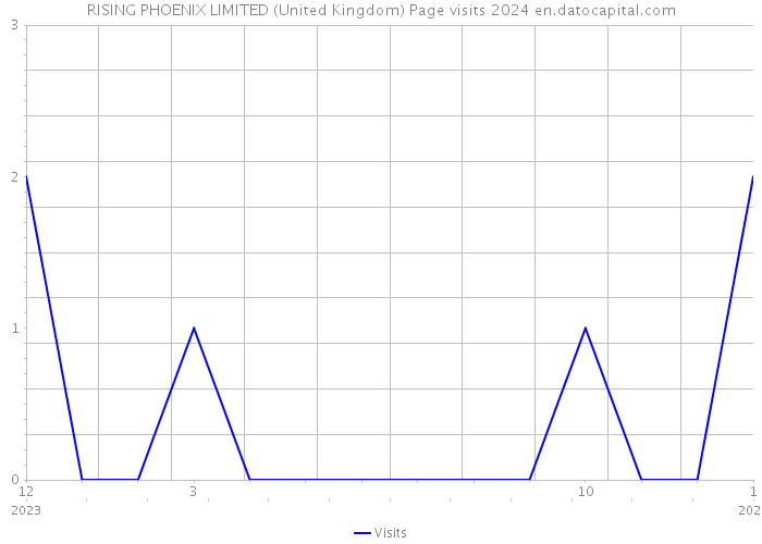 RISING PHOENIX LIMITED (United Kingdom) Page visits 2024 