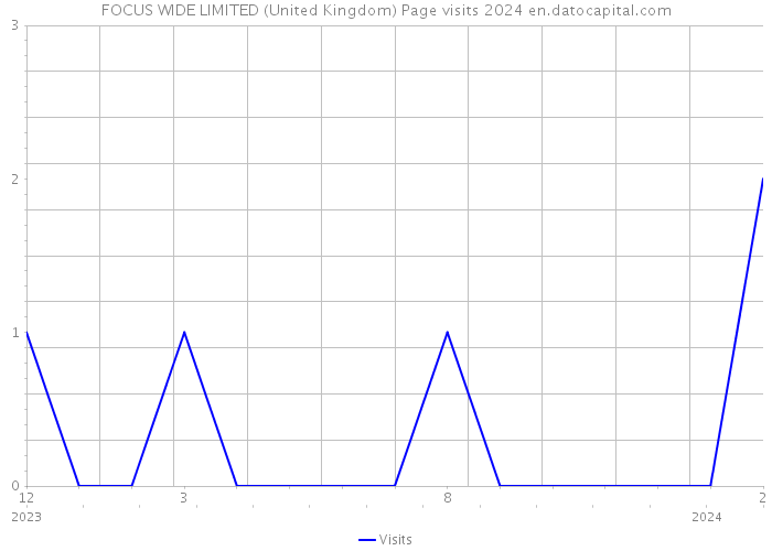 FOCUS WIDE LIMITED (United Kingdom) Page visits 2024 
