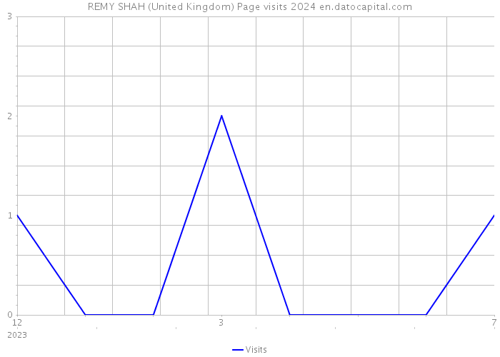 REMY SHAH (United Kingdom) Page visits 2024 