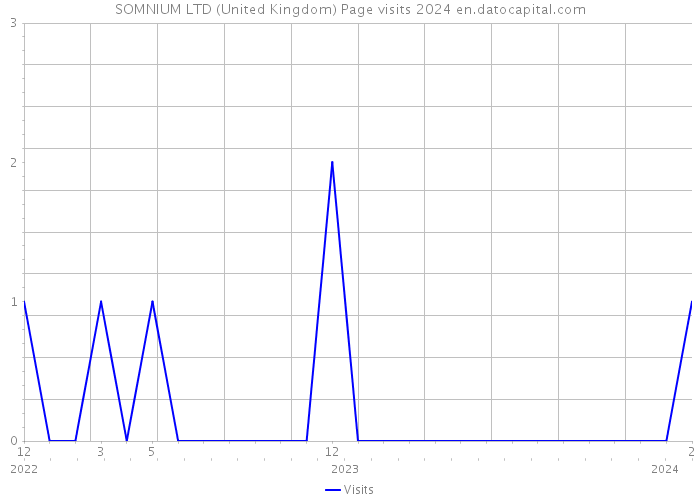 SOMNIUM LTD (United Kingdom) Page visits 2024 