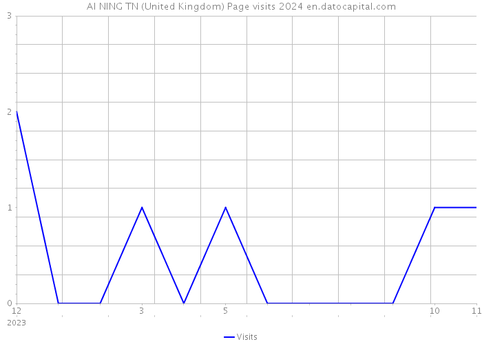 AI NING TN (United Kingdom) Page visits 2024 