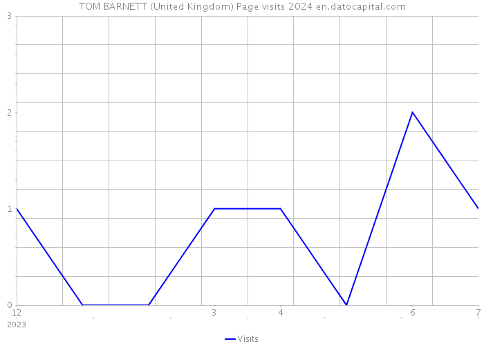TOM BARNETT (United Kingdom) Page visits 2024 