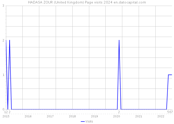 HADASA ZOUR (United Kingdom) Page visits 2024 