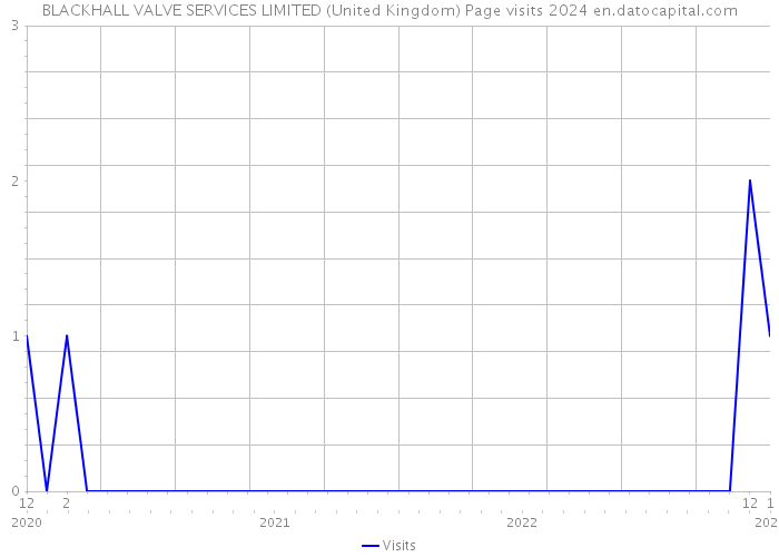 BLACKHALL VALVE SERVICES LIMITED (United Kingdom) Page visits 2024 