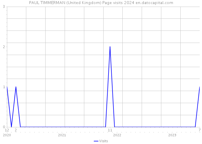 PAUL TIMMERMAN (United Kingdom) Page visits 2024 