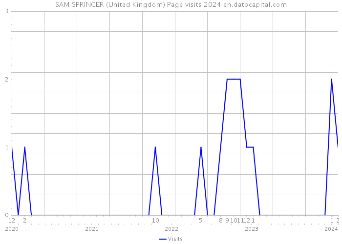 SAM SPRINGER (United Kingdom) Page visits 2024 
