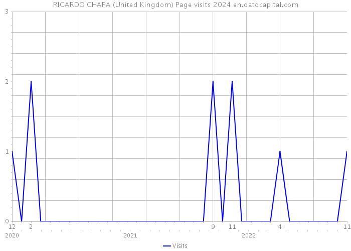 RICARDO CHAPA (United Kingdom) Page visits 2024 