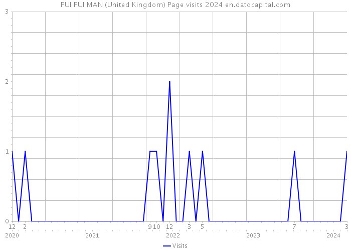 PUI PUI MAN (United Kingdom) Page visits 2024 