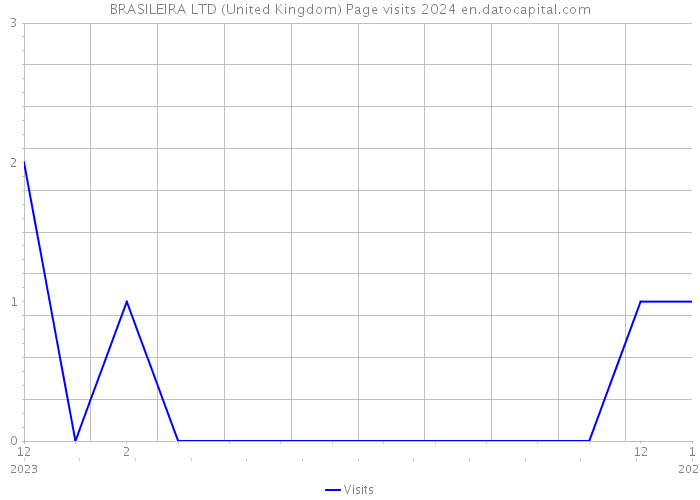 BRASILEIRA LTD (United Kingdom) Page visits 2024 