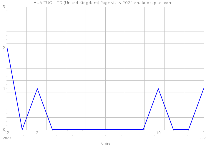 HUA TUO LTD (United Kingdom) Page visits 2024 