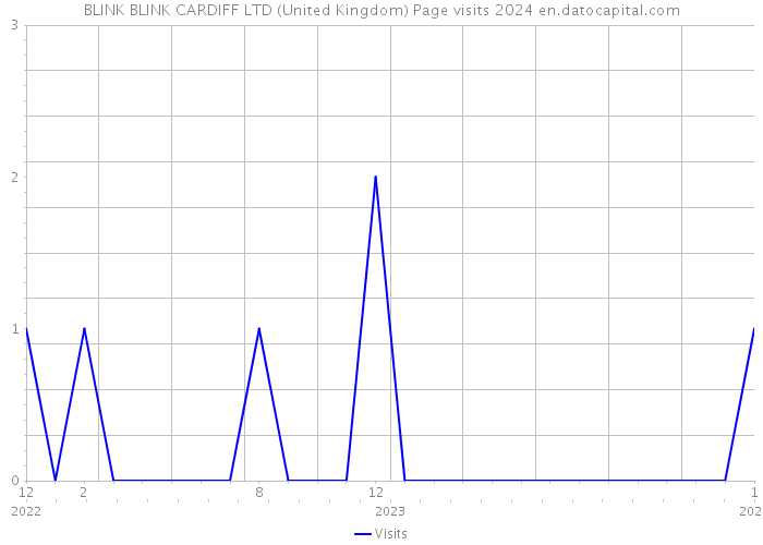 BLINK BLINK CARDIFF LTD (United Kingdom) Page visits 2024 