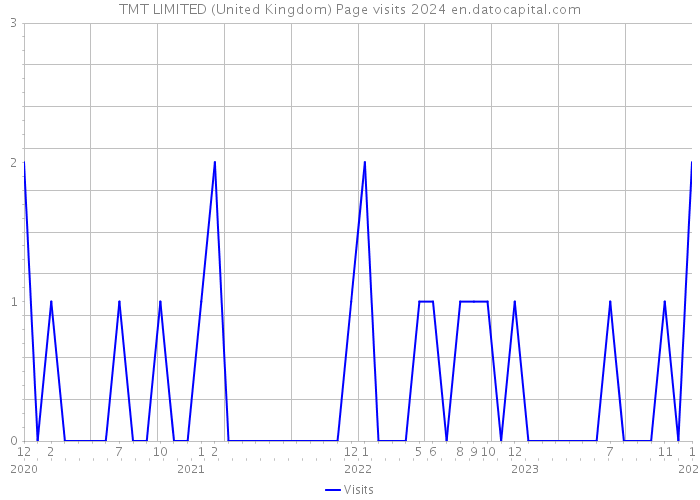 TMT LIMITED (United Kingdom) Page visits 2024 